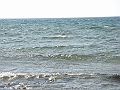 Western Michigan [2010] 883